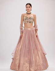 Liquid Blush Lehenga