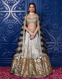 Brown Banarasi Weave Embroidered Lehenga Set