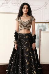 The Royal Obsidian Lehenga