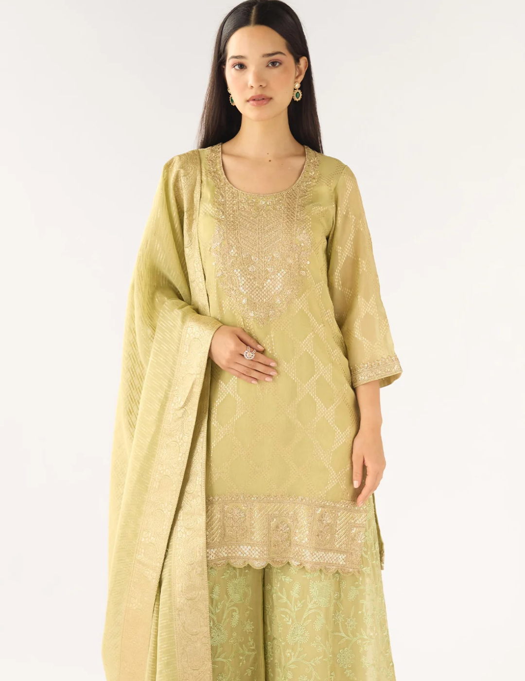 Pista Banarasi Embroidered Suit Set