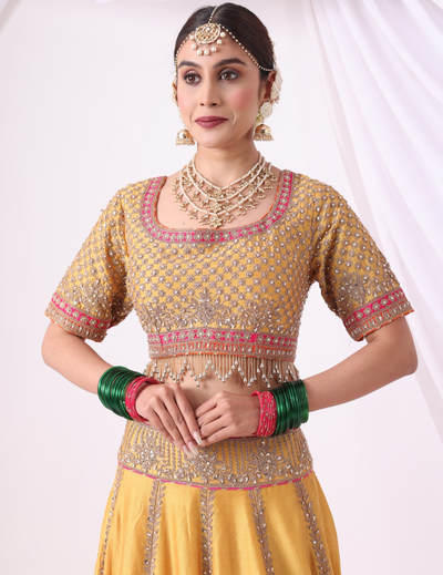 Aaranya Mustard Zari Embroidered Chanderi Lehenga Set