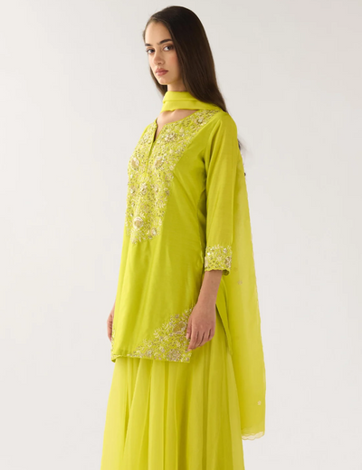 Lime Chanderi Embroidered Sharara Set