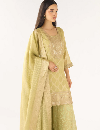 Pista Banarasi Embroidered Suit Set
