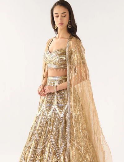 Gold Soft Net Embroidered Lehenga Set