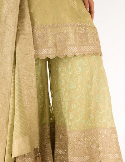 Pista Banarasi Embroidered Suit Set