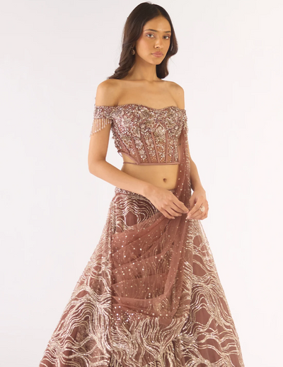 Brown Soft Net Embroidered Lehenga Set