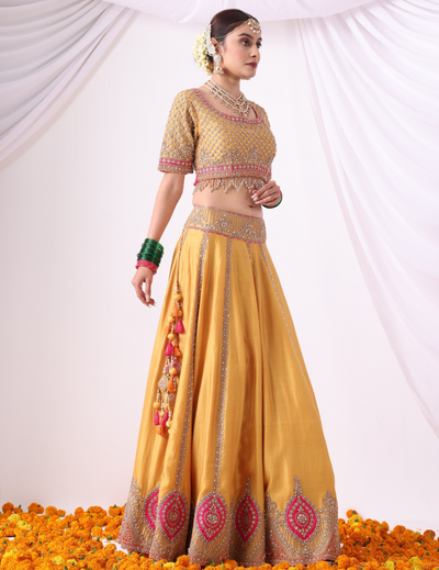 Aaranya Mustard Zari Embroidered Chanderi Lehenga Set