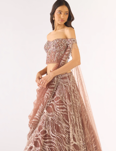 Brown Soft Net Embroidered Lehenga Set