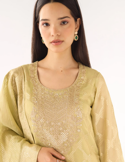 Pista Banarasi Embroidered Suit Set