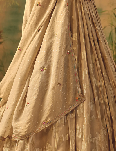 The Blooming Clouds Lehenga