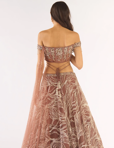 Brown Soft Net Embroidered Lehenga Set
