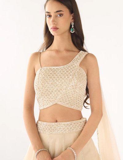 White Tissue Embroidered Lehenga Set