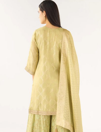 Pista Banarasi Embroidered Suit Set