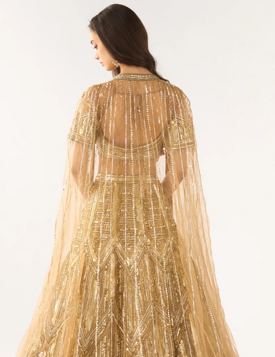 Gold Soft Net Embroidered Lehenga Set