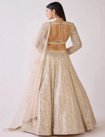 Gold Silk & Butterfly Net Lehenga Set