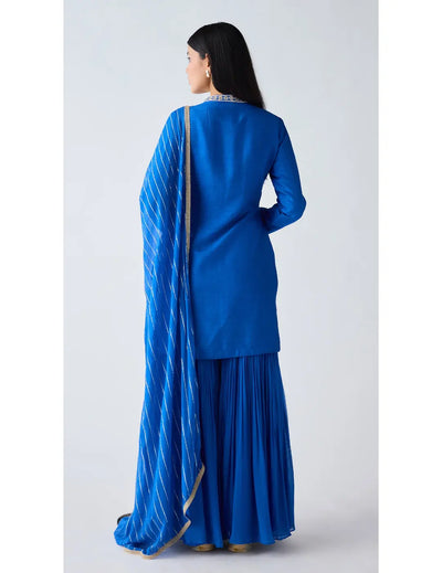 Blue Silk Embroidered Sharara Set