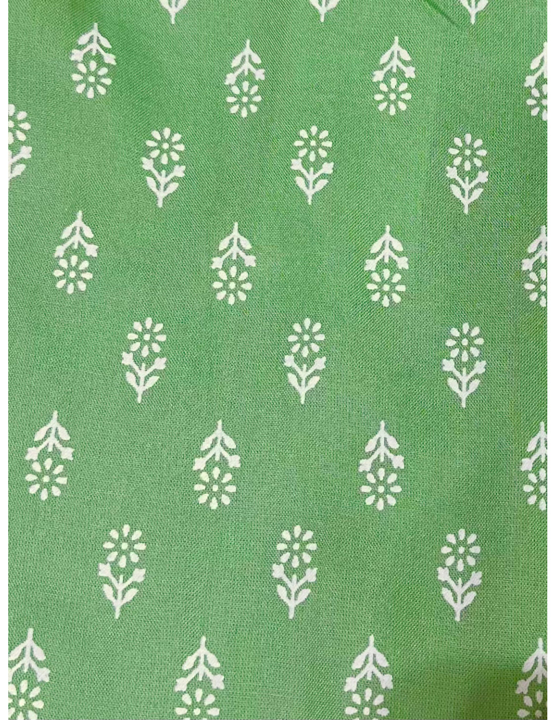 绿色花卉阿纳卡利