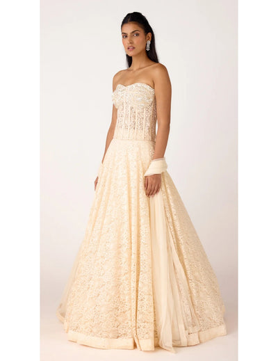 Ivory Chantilly Net Embroidered Lehenga Set