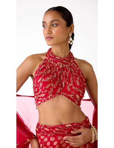 Red Banarasi Embroidered Lehenga Set