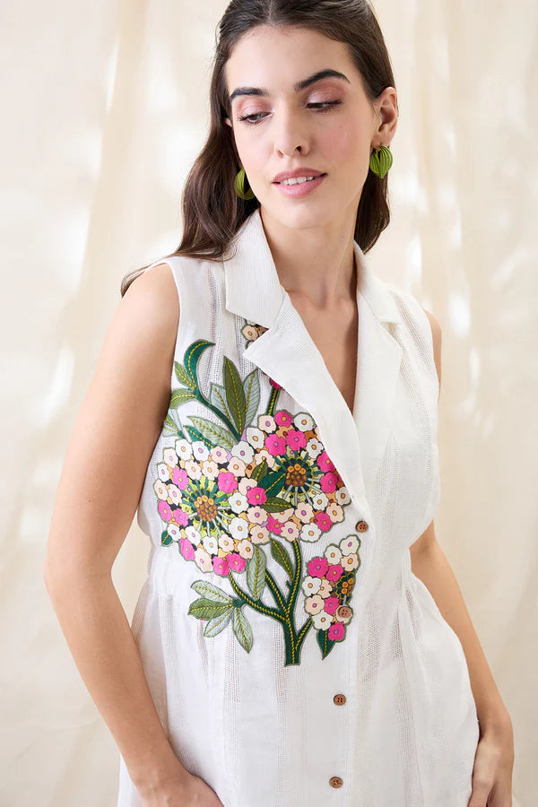 Gulzaar appliqued co-ord set