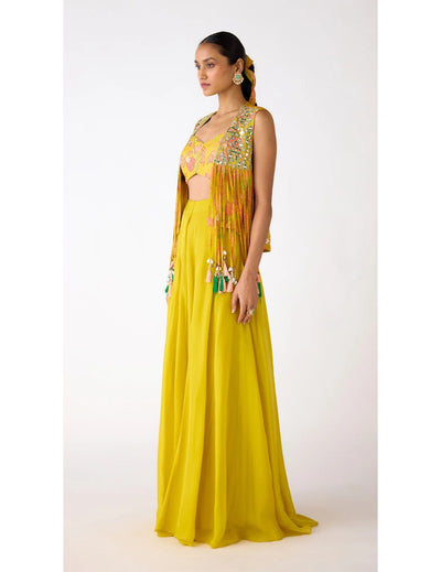 Yellow Organza Embroidered Sharara Set